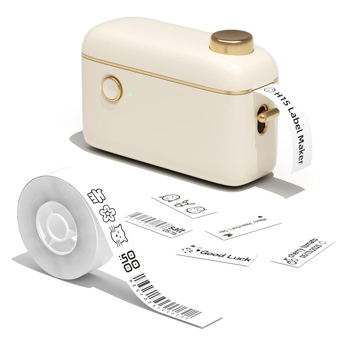 NIIMBOT H1S Label Maker