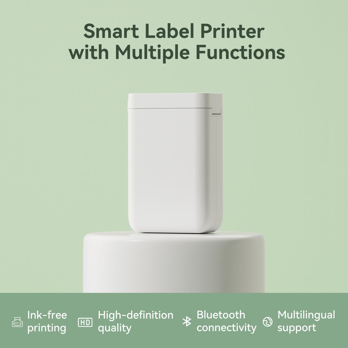 NIIMBOT D101 Label Maker