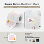 Bunny