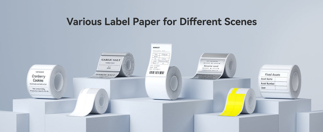 What Label Sizes Fit the NIIMBOT B21 and B21 Pro? (Complete Compatibility Guide)