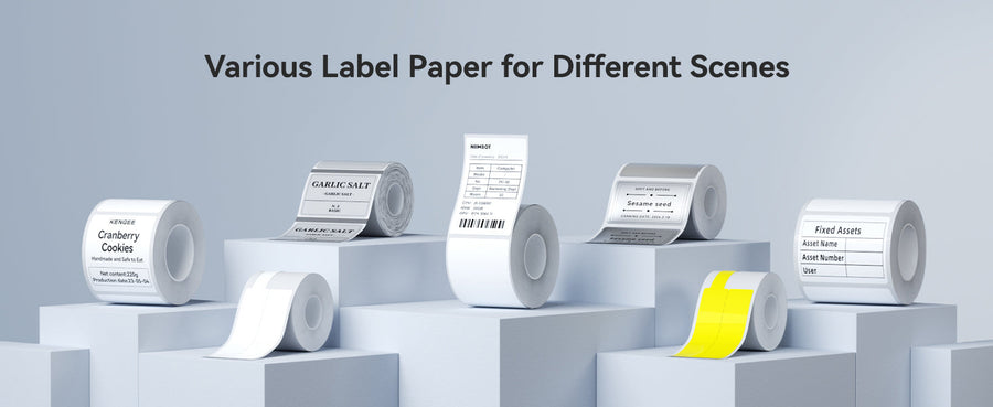 What Label Sizes Fit the NIIMBOT B21 and B21 Pro? (Complete Compatibility Guide)