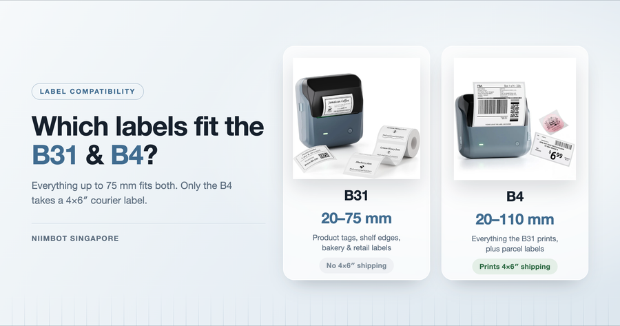 What Label Sizes Fit the NIIMBOT B31 and B4? (Complete Compatibility Guide)