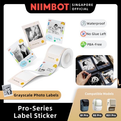 NIIMBOT Photo Label Sticker for B1 Pro, B2 Pro, B21 Pro