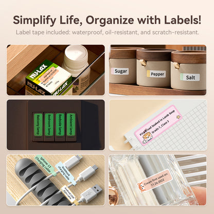 NIIMBOT D110 2024 Label Maker
