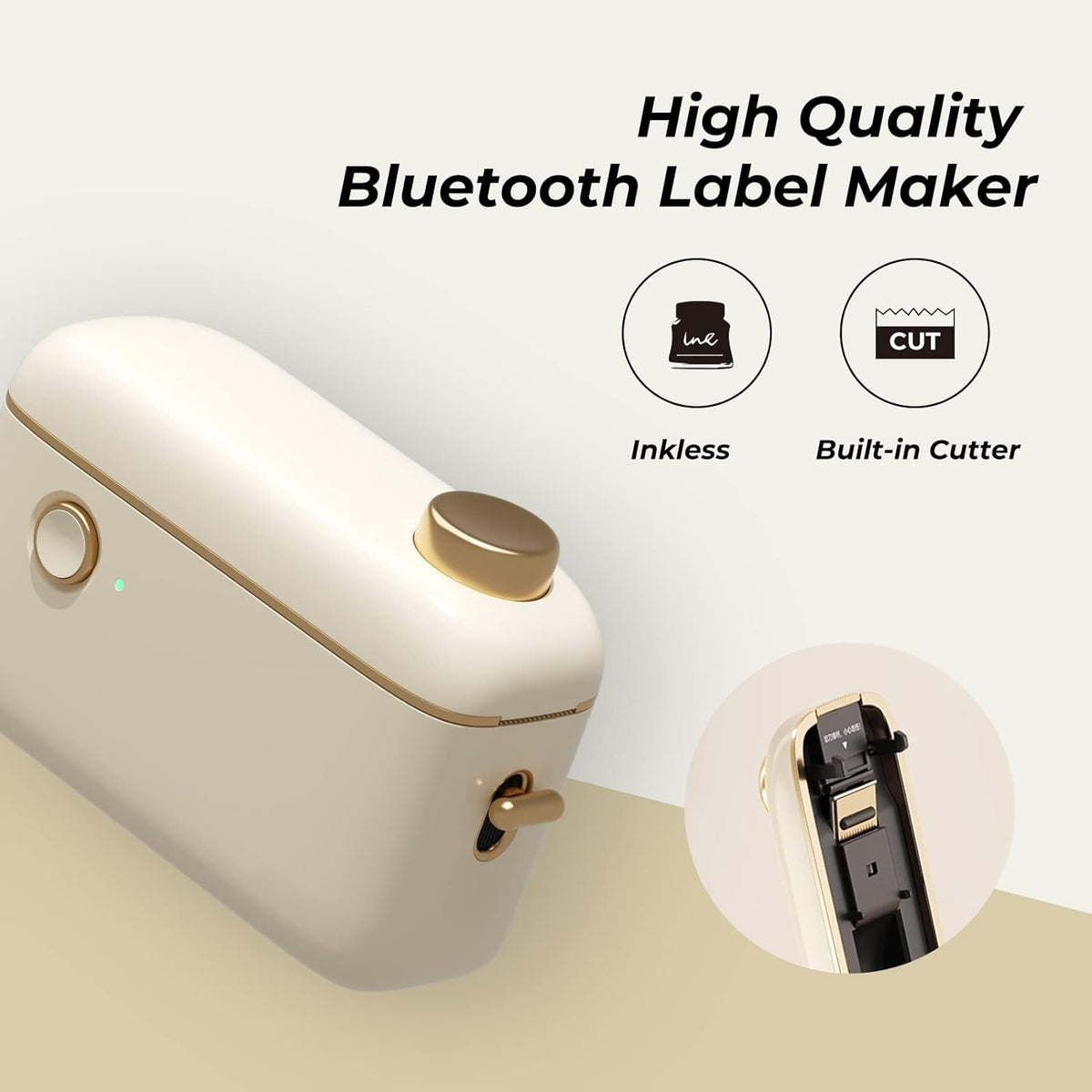 NIIMBOT H1S Label Maker