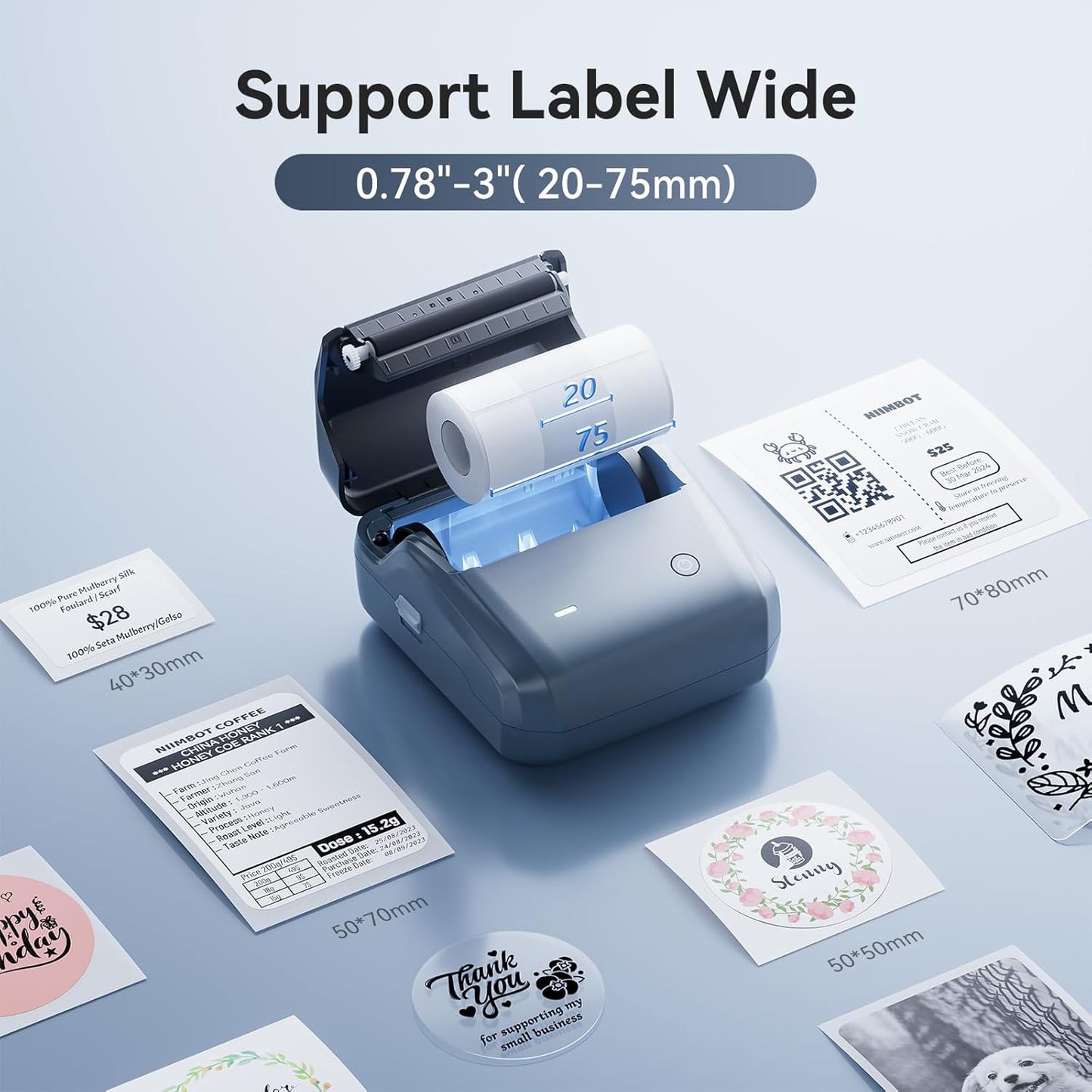 NIIMBOT B31 Label Maker