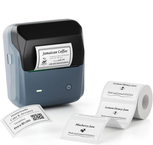NIIMBOT B31 Label Maker