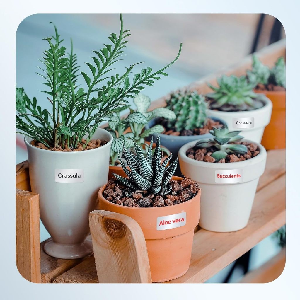 NIIMBOT Pure Colour Label for  N1 B18